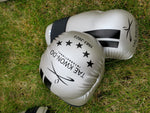Sparring Gear Set